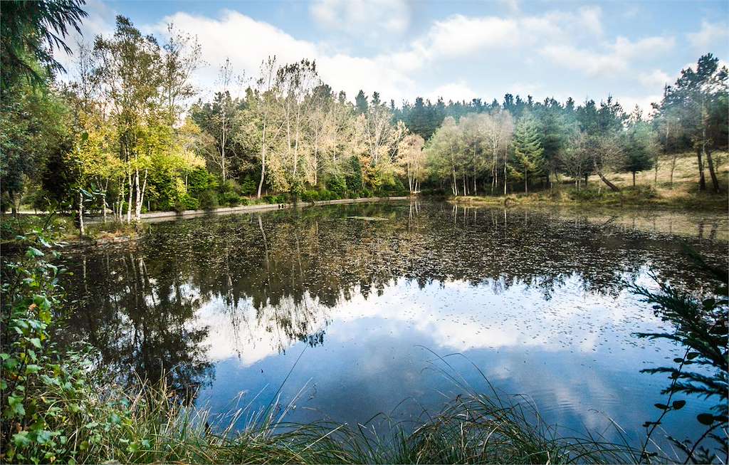 Área Recreativa Lagoas de Teixeiro en Lugo