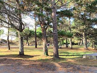 Área Recreativa Muíños Vellos