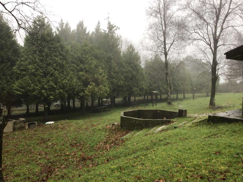 Área Recreativa Os Bidueiros en A Caniza