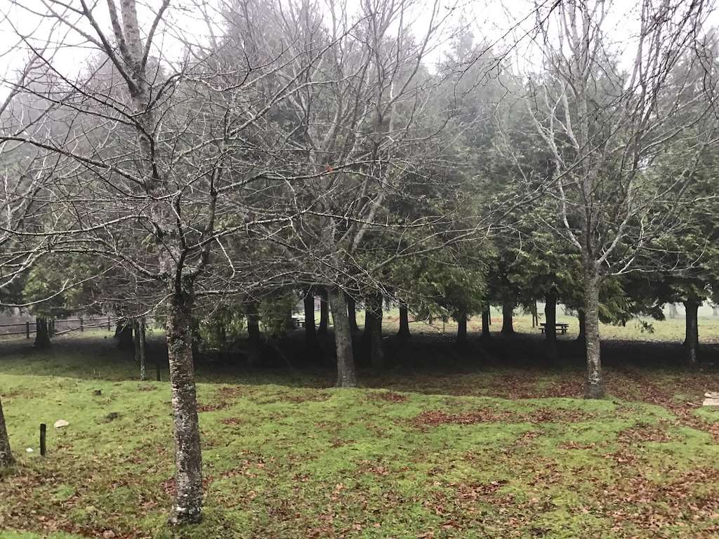 Área Recreativa Os Bidueiros en A Caniza