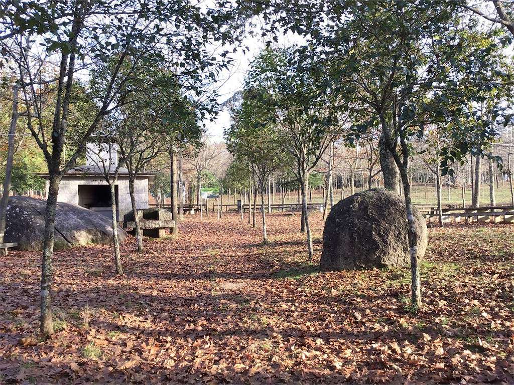 Área Recreativa Penedo Redondo en Salceda de Caselas