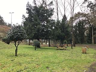 Fechas, información, programa, cartel, imágenes, mapa y ubicación de Área Recreativa Río Albariña  en  A Baña