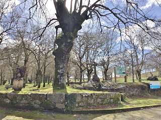 Fechas, información, programa, cartel, imágenes, mapa y ubicación de Área Recreativa Veiga do Olmo   en  Castroverde