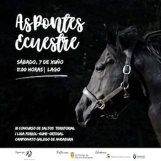 Fechas, información, programa, cartel, imágenes, mapa y ubicación de As Pontes Ecuestre