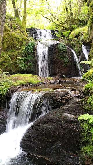 Fechas, información, programa, cartel, imágenes, mapa y ubicación de Asociación Castiñeiro e Nogueira  en  Becerreá