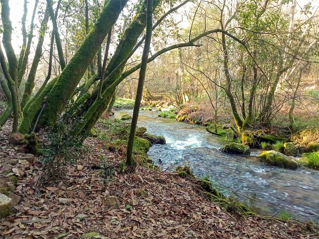 Aula Abierta de la Naturaleza Río Furnia en Tomiño