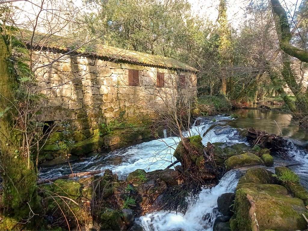 Aula Abierta de la Naturaleza Río Furnia en Tomiño