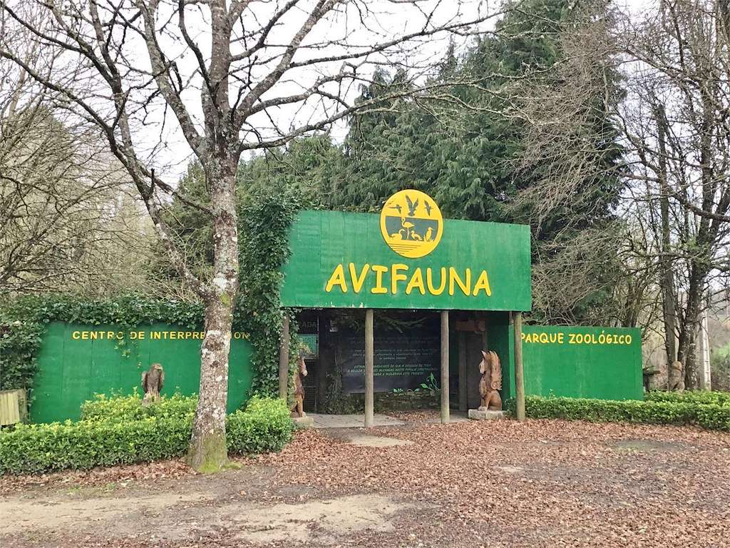 Avifauna en Outeiro de Rei