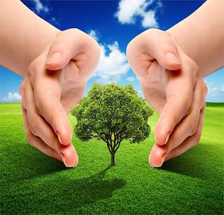 Fechas, información, programa, cartel, imágenes, mapa y ubicación de BioCultura – VI Feria de Productos Ecológicos y Consumo Responsable  en  A Coruña