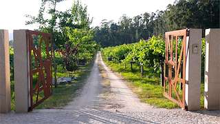 Bodega Ángel Sequeiros