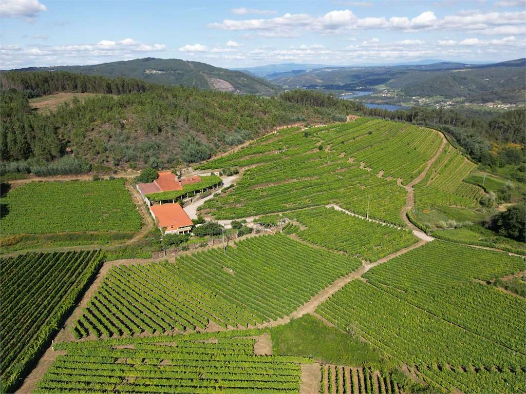 Bodega Castro Rei, S.L. en Ribadavia