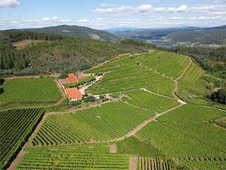 Bodega Castro Rei, S.L.