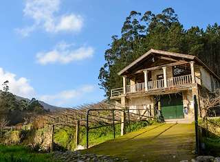 Bodega Entre os Ríos
