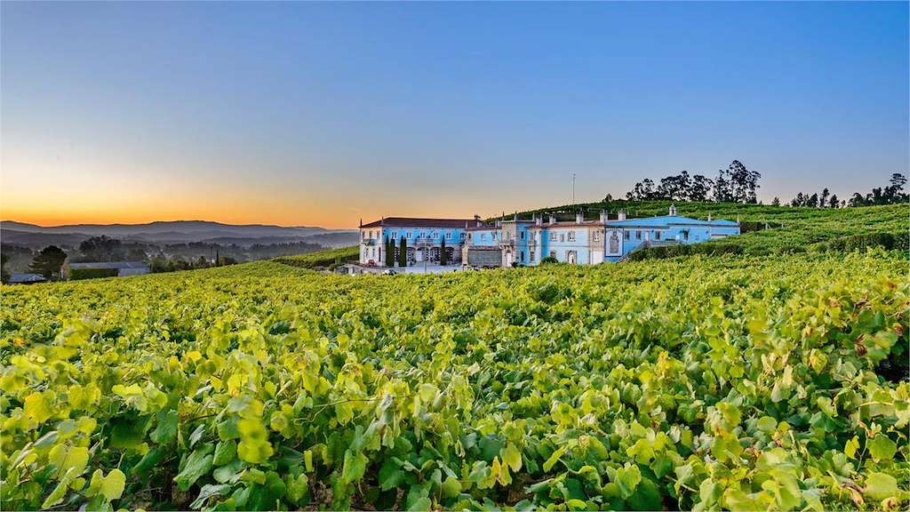 Bodega Granbazán en Vilanova de Arousa