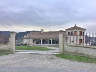 Bodega Laureatus