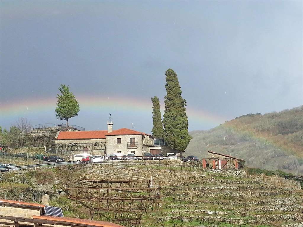 Bodega Os Cipreses en Chantada