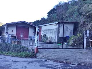 Bodega Pincelo