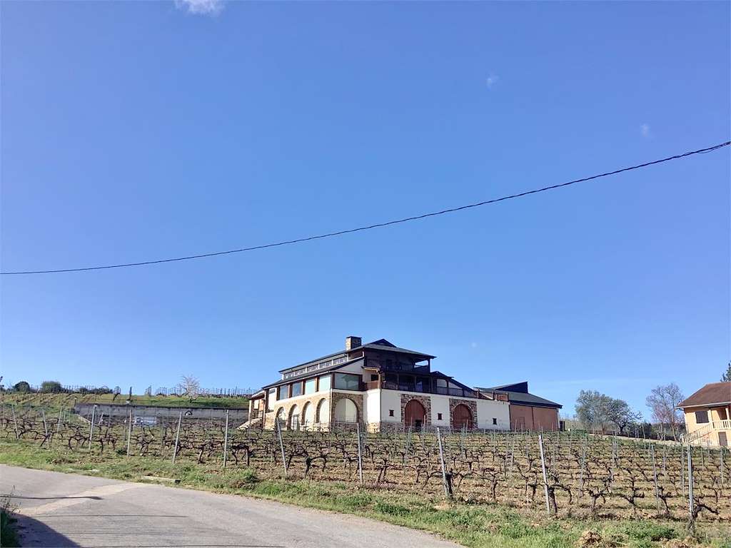 Bodega Terriña en Petín