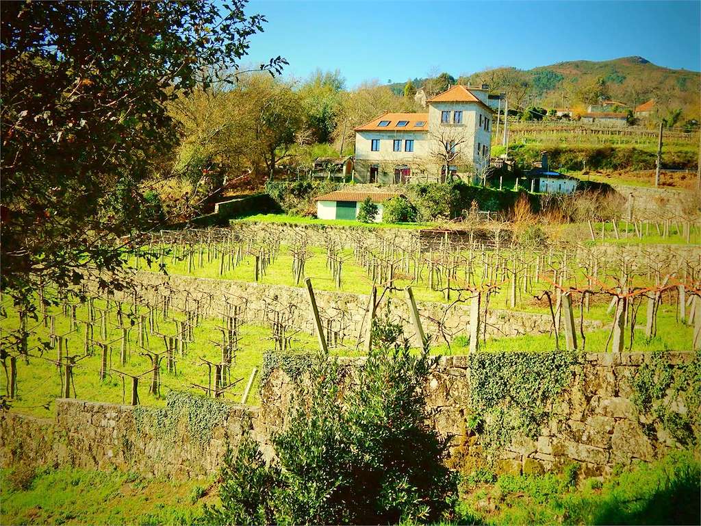 Bodega Torgo en A Caniza
