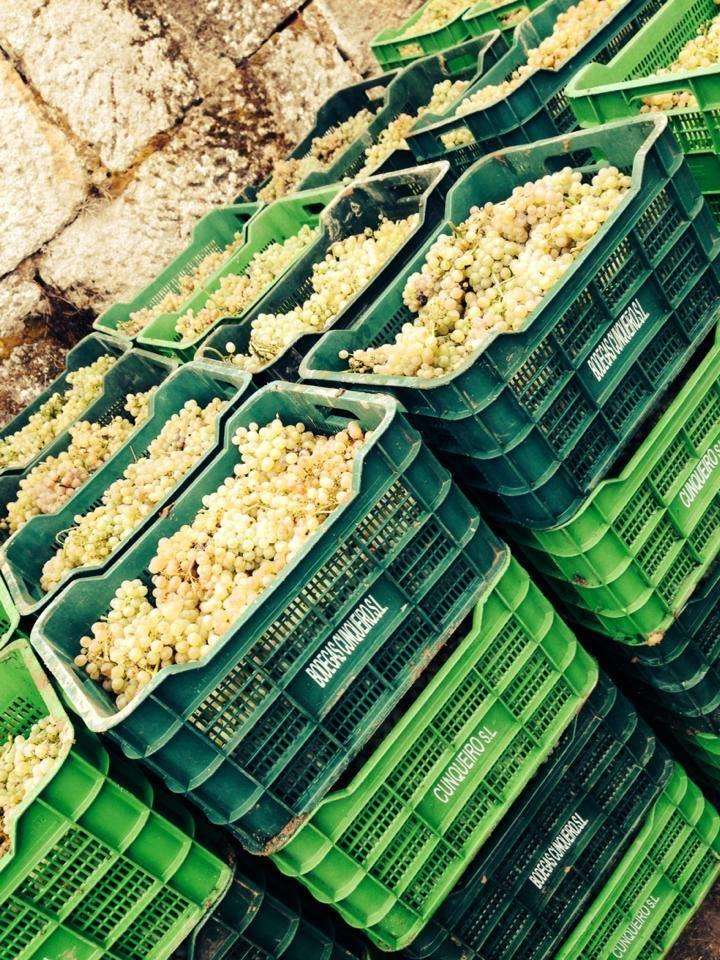 Bodegas Cunqueiro en Castrelo de Miño