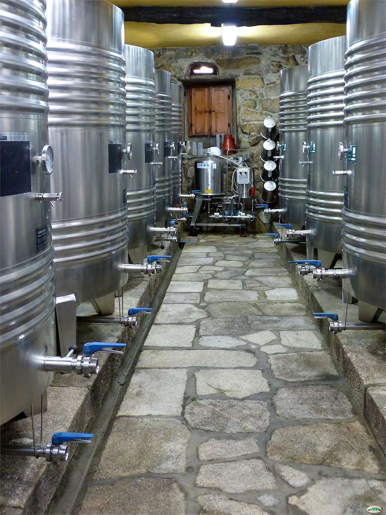 Bodegas y Enoturismo en O Rosal