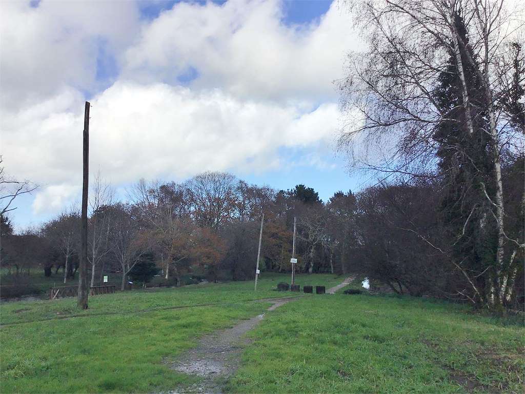 Bosque do Añón en Carballo