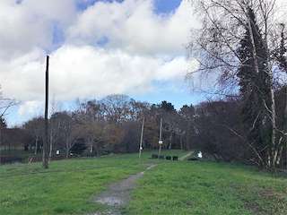 Bosque do Añón