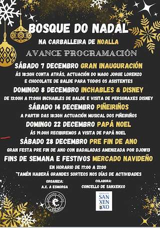 Fechas, información, programa, cartel, imágenes, mapa y ubicación de Bosque do Nadal de Noalla  en  Sanxenxo