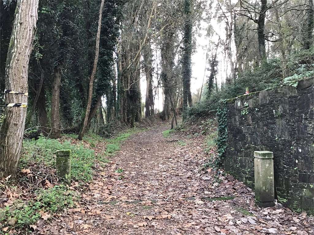 Bosque dos Veciños en Oleiros