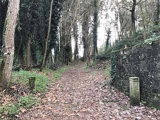 Bosque dos Veciños