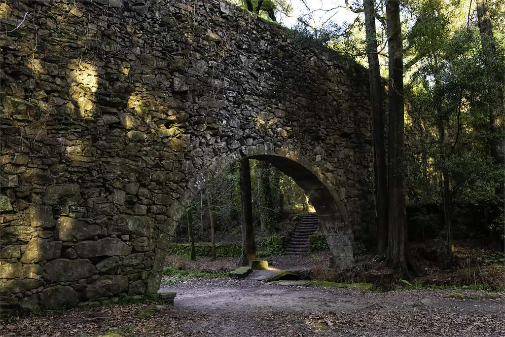 Bosque Encantado en Cangas