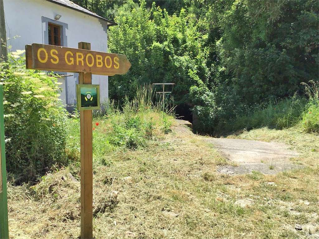 Bosque Os Grobos en Becerreá