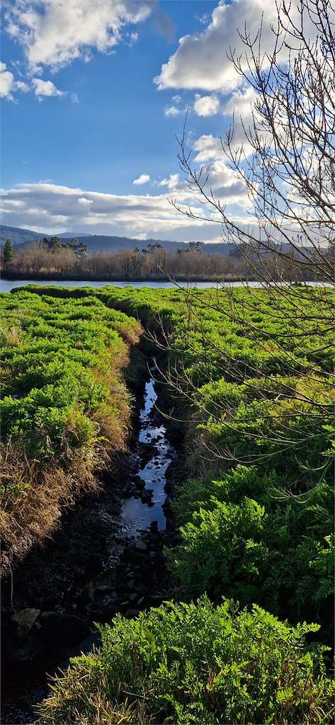 Brañas de Laiño en Dodro