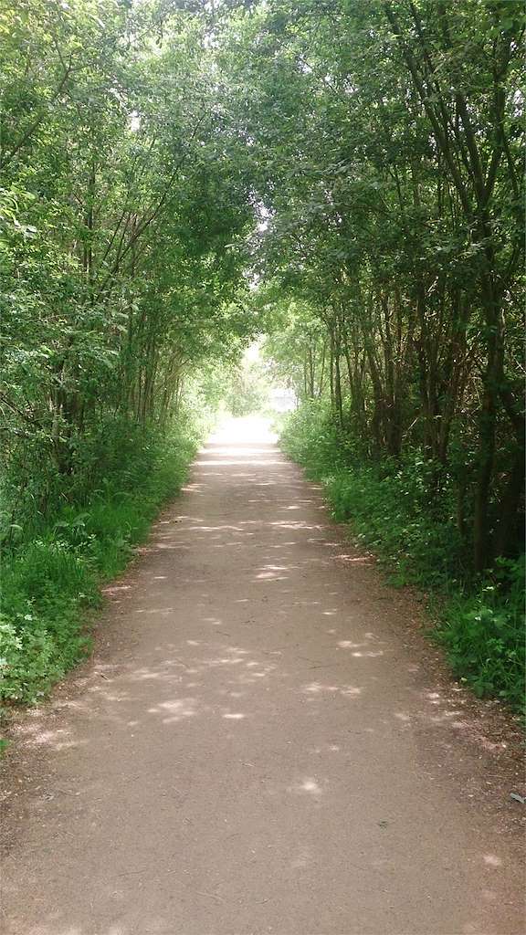 Brañas de Sar en Santiago de Compostela