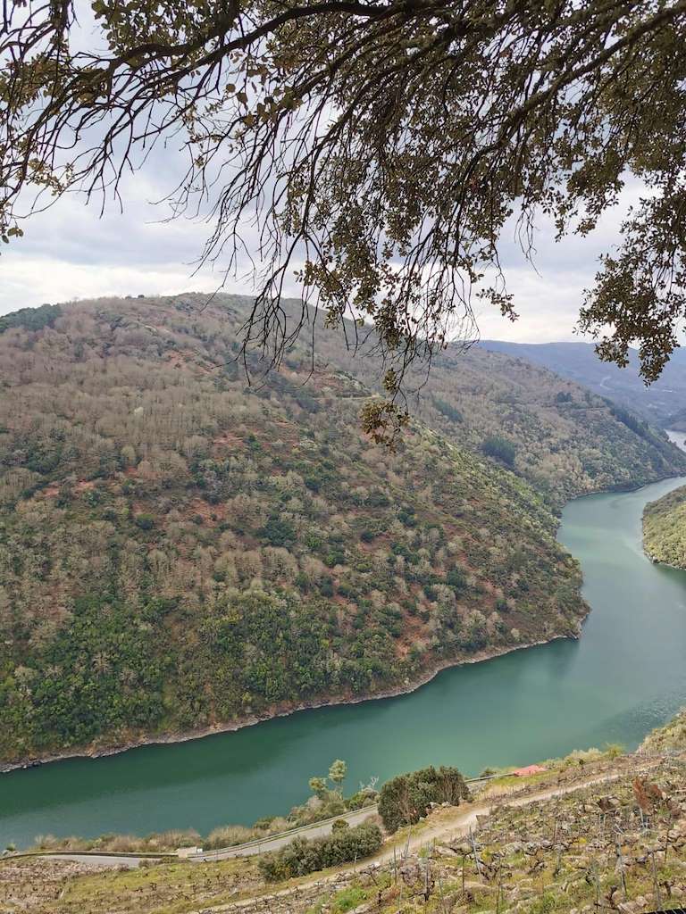 Cañones del Sil