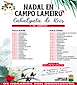 FiestasRelacionadas Cabalgata de Reyes en O Campo Lameiro