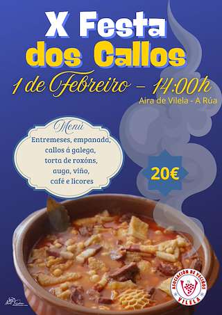 Fechas, información, programa, cartel, imágenes, mapa y ubicación de X Callada do San Brais de Vilela  en  A Rúa