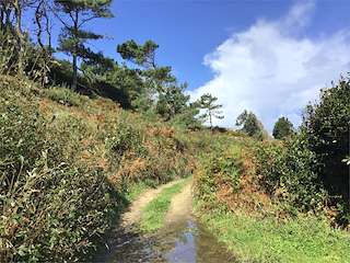 Camiño Real Sabadelle - Mórdomo