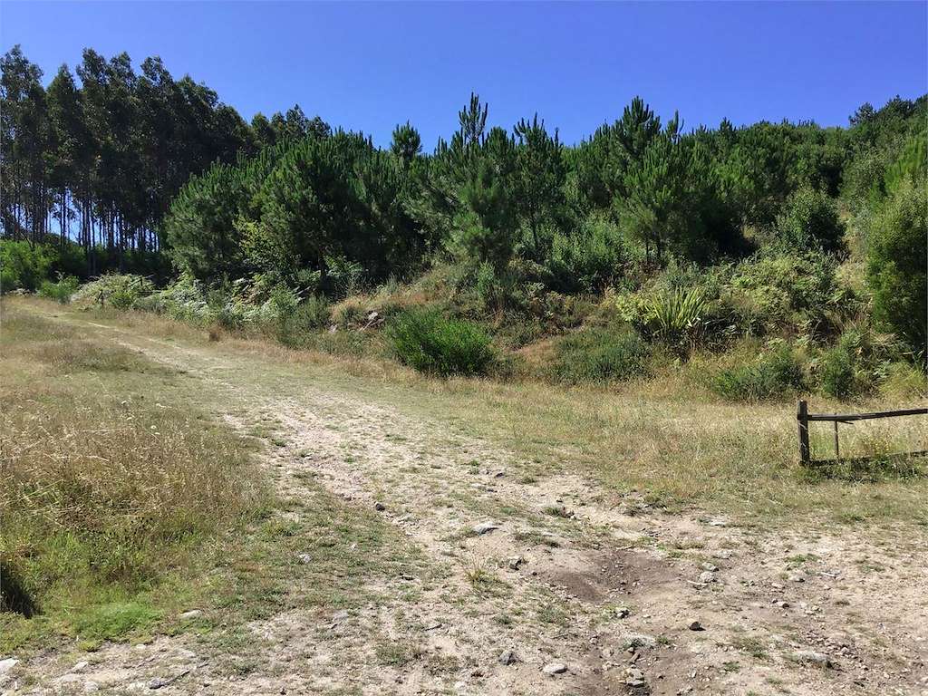 Camiños do Trega - PR-G 122 en A Guarda