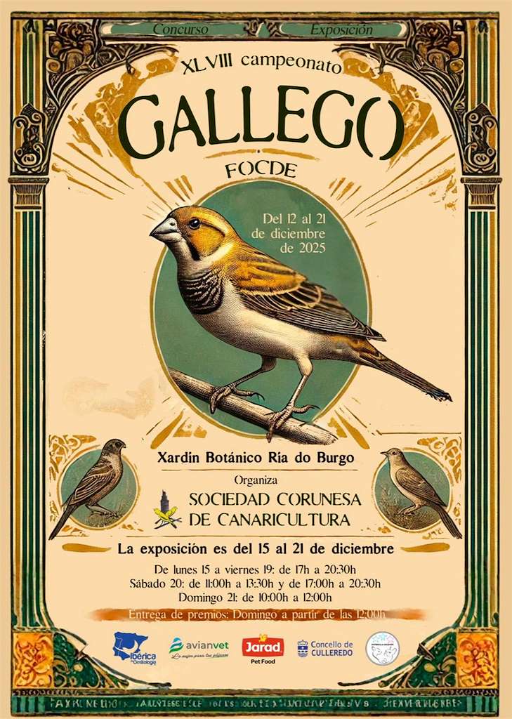 XLVIII Campeonato Gallego FOCDE en Culleredo