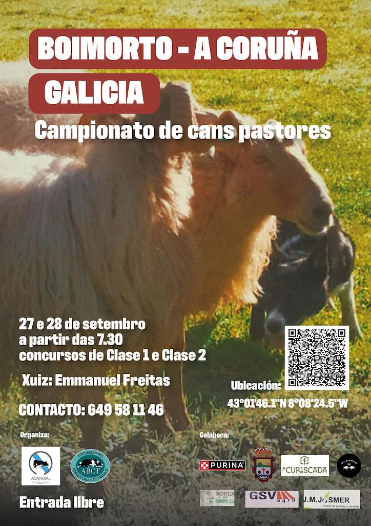Campionato de Cans Pastores en Boimorto