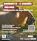 FiestasRelacionadas Campionato de Cans Pastores en Boimorto
