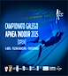 FiestasRelacionadas Campionato Galego de Apnea en Vilagarcía de Arousa