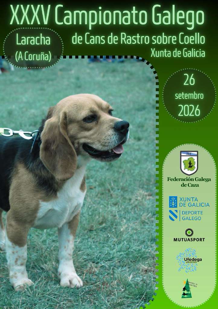 XXXV Campionato Galego de Cans de Rastro Sobre Coello (2026) en A Laracha