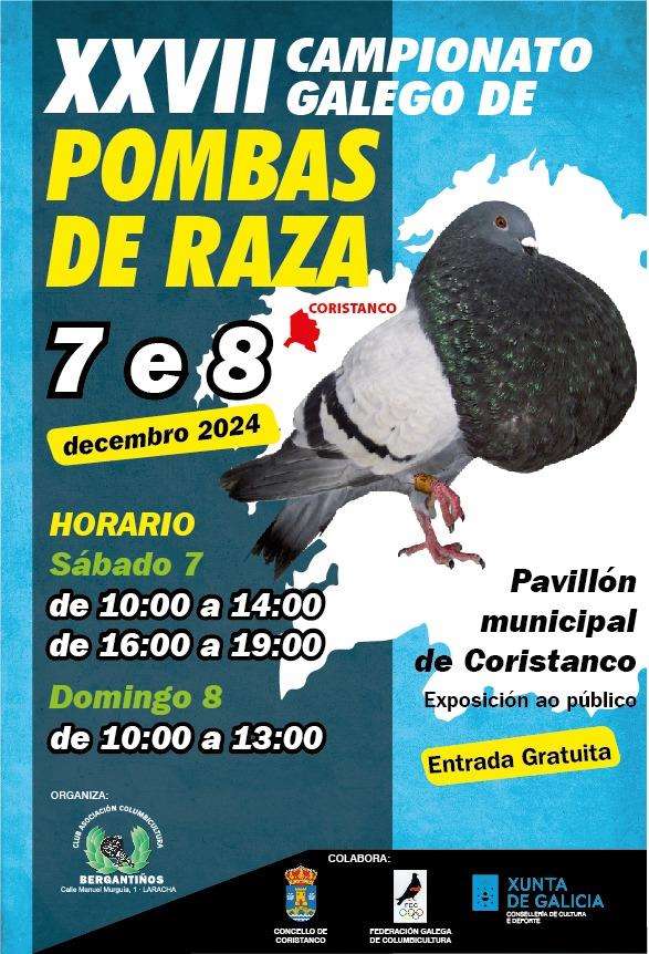 XXVII Campionato Galego de Pombas de Raza en Coristanco