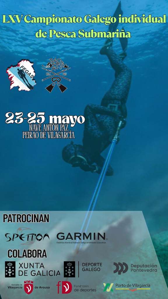 LXV Campionato Galego Individual de Pesca Submariña (2025) en Vilagarcía de Arousa