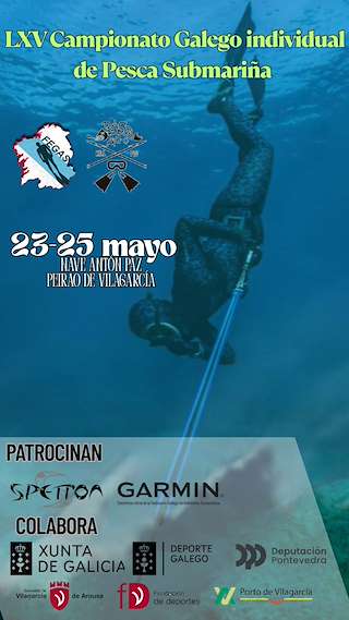 Fechas, información, programa, cartel, imágenes, mapa y ubicación de LXV Campionato Galego Individual de Pesca Submariña  en  Vilagarcía de Arousa