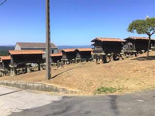 Fechas, información, programa, cartel, imágenes, mapa y ubicación de Canastros da Merca (2022)