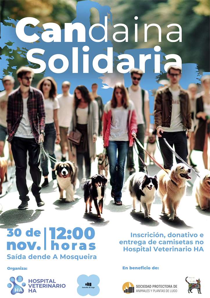 Candaina Solidaria en Lugo