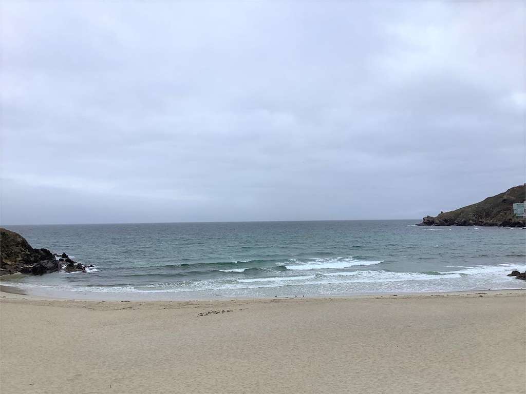 Canido en Malpica de Bergantiños